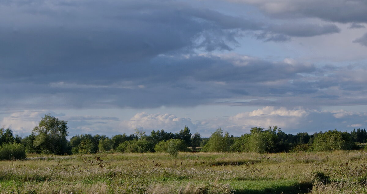 Кучево-дождевые облака. - сергей ермошкин