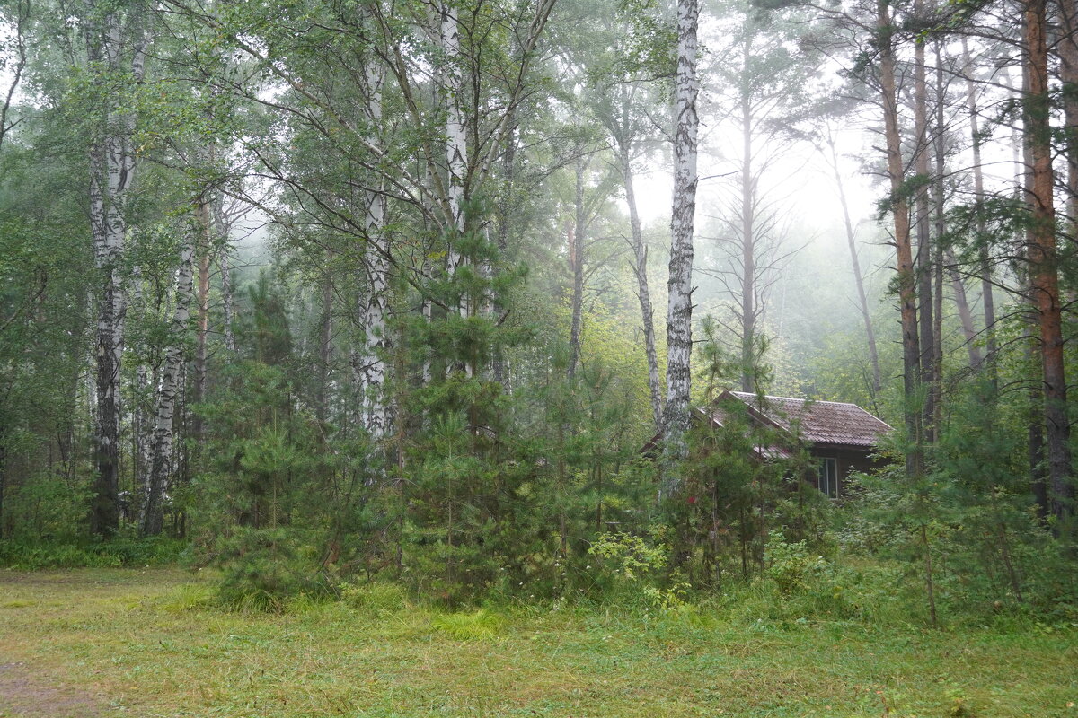Домик в тумане - Галина Кан