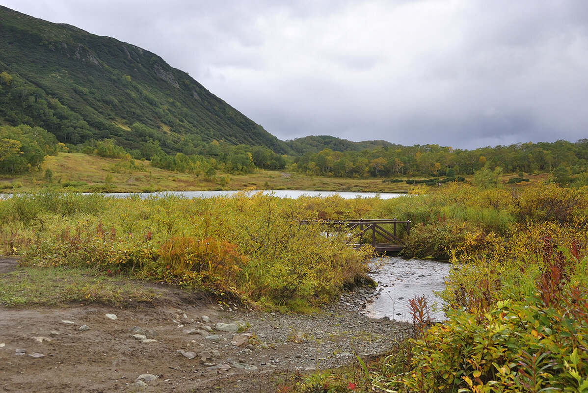 Однажды на Камчатке - Марина Виноградова