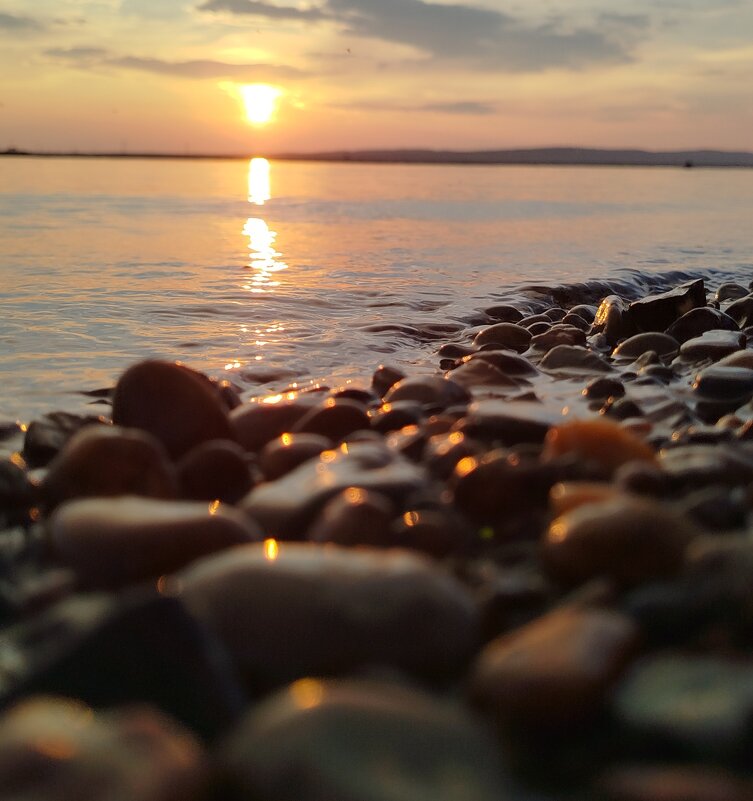 берег - светлана льдокова