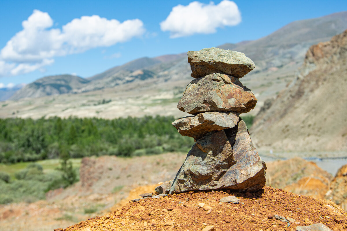 *** - Николай Чекалин