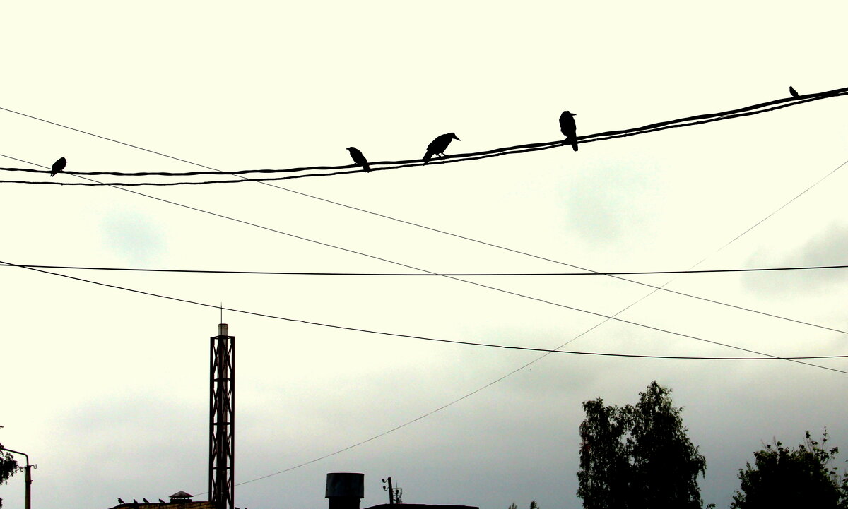 Утренняя геометрия - Елена Минина Утренняя геометрия - Елена Минина