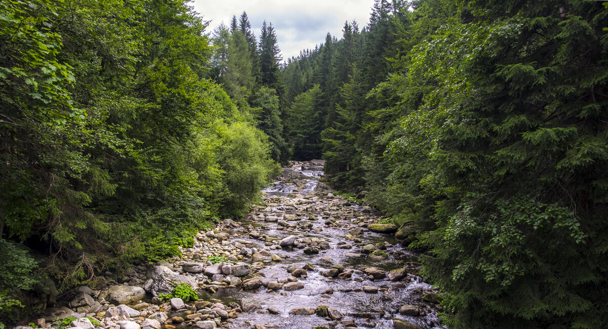 ** - Александр Липовецкий