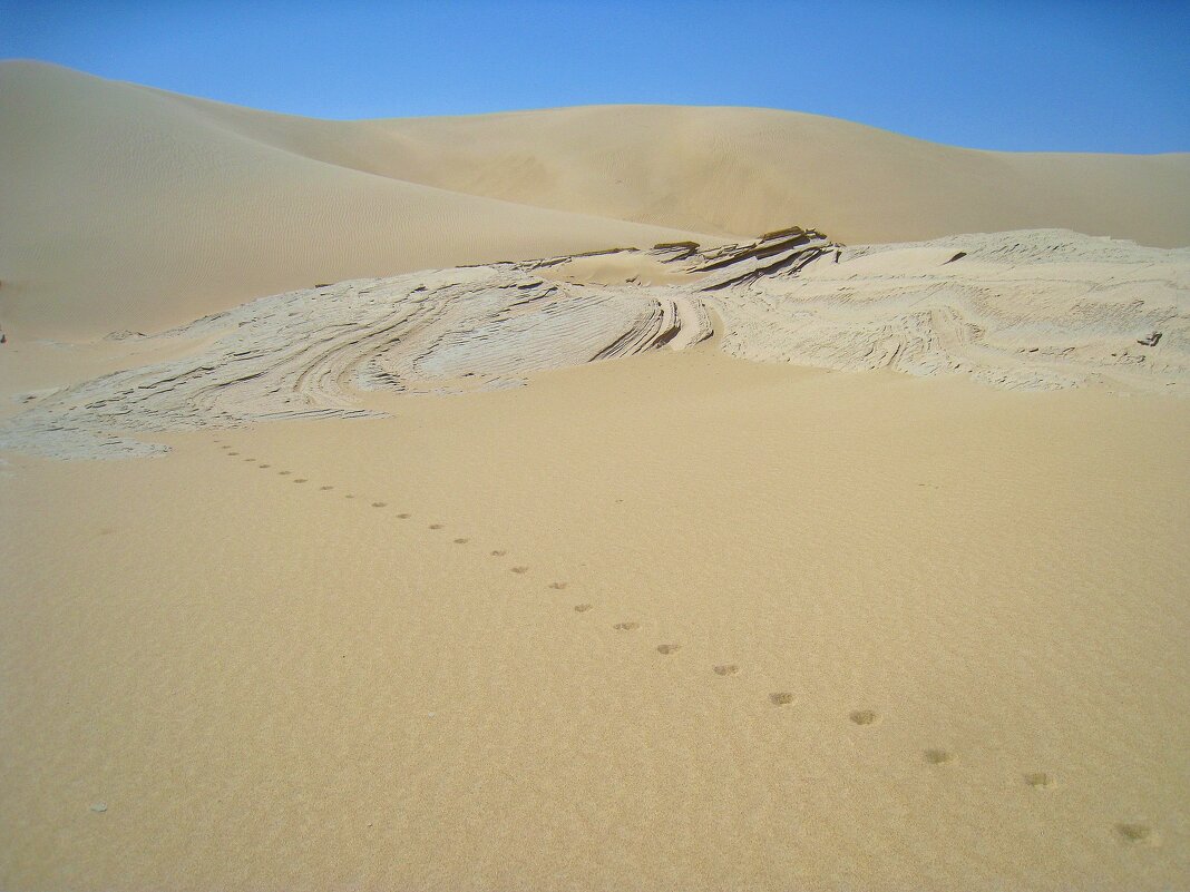 Здесь есть жизнь... - unix (Илья Утропов) Здесь есть жизнь... - unix (Илья Утропов)