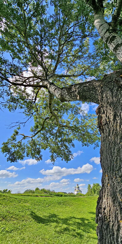 Суздаль - Михаил Свиденцов Суздаль - Михаил Свиденцов