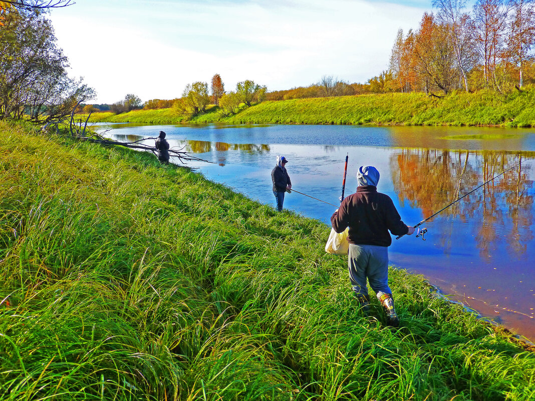 Август...Рыбалка на протоке Девкина! - Владимир 
