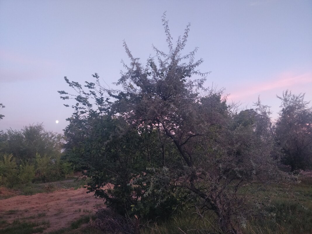 Вечер - Андрей Хлопонин Вечер - Андрей Хлопонин