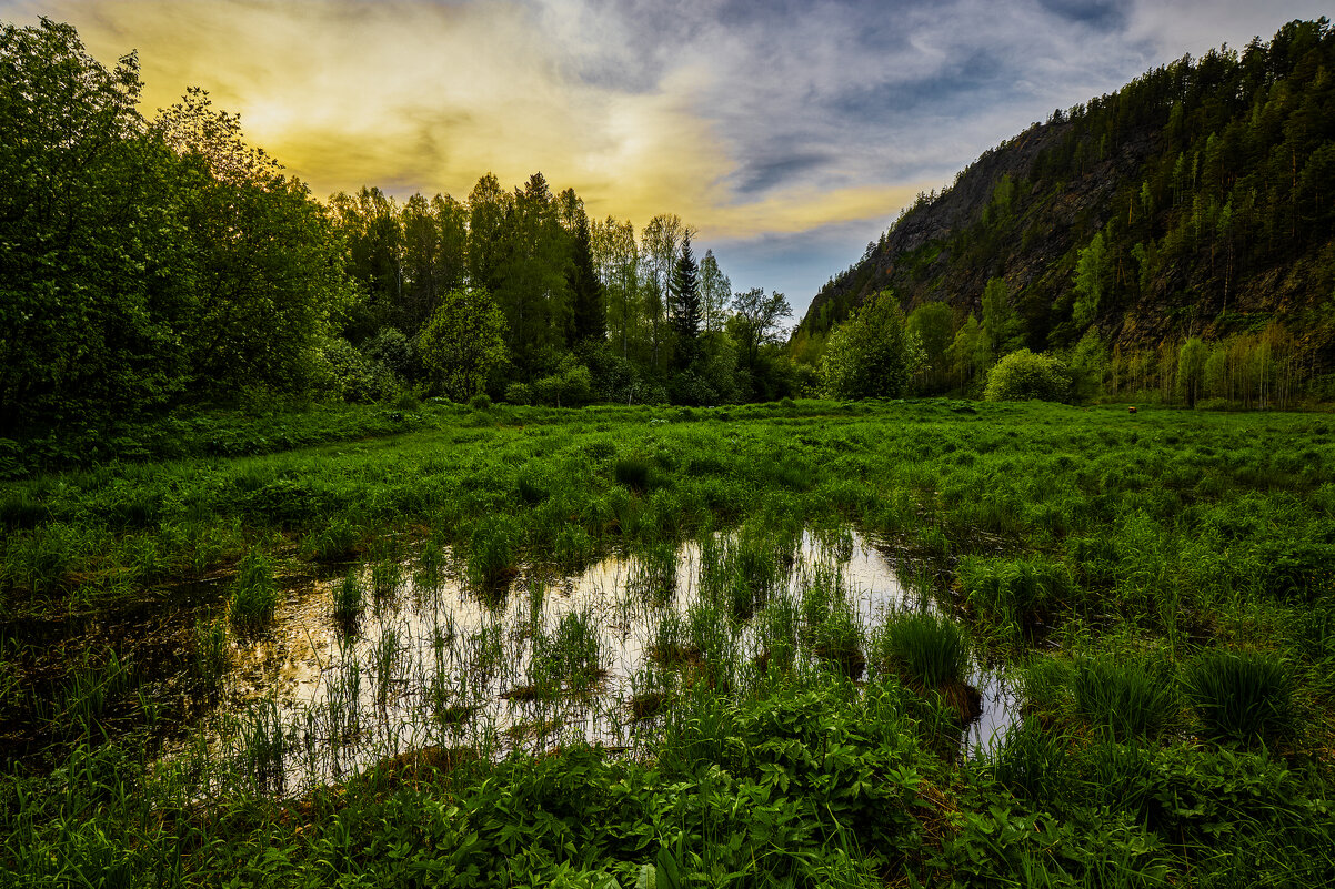 В отблесках заката. - Юрий кот