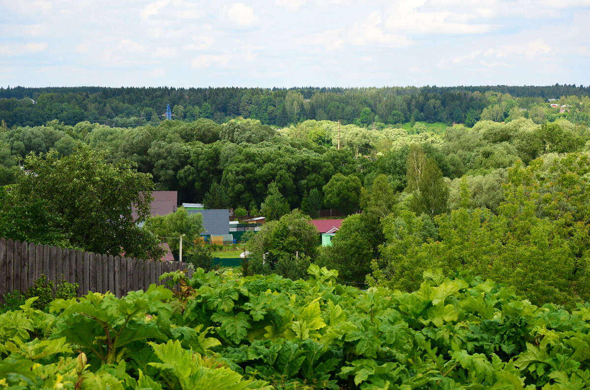 Московская область. Село Новый Быт. - Наташа *****