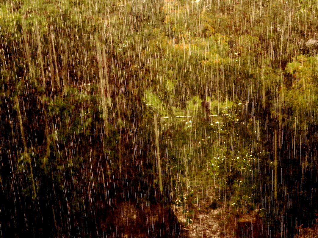 Когда вода всемирного потопа... - Maria Rainer