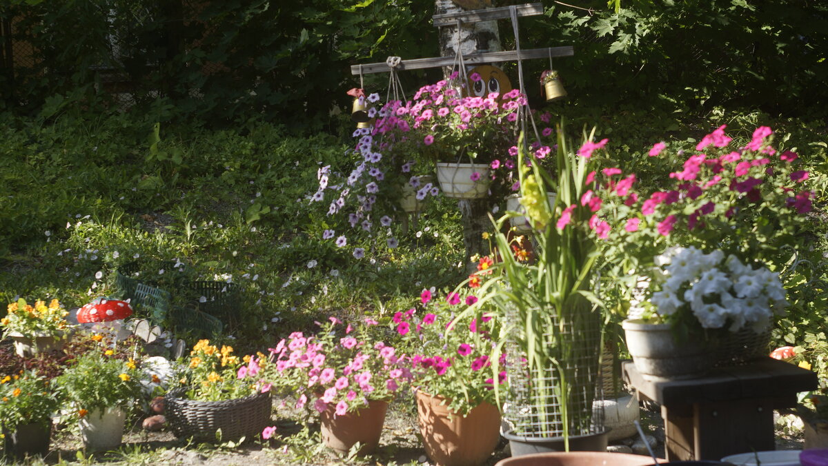 У меня  в садочке - Ольга Cоломатина