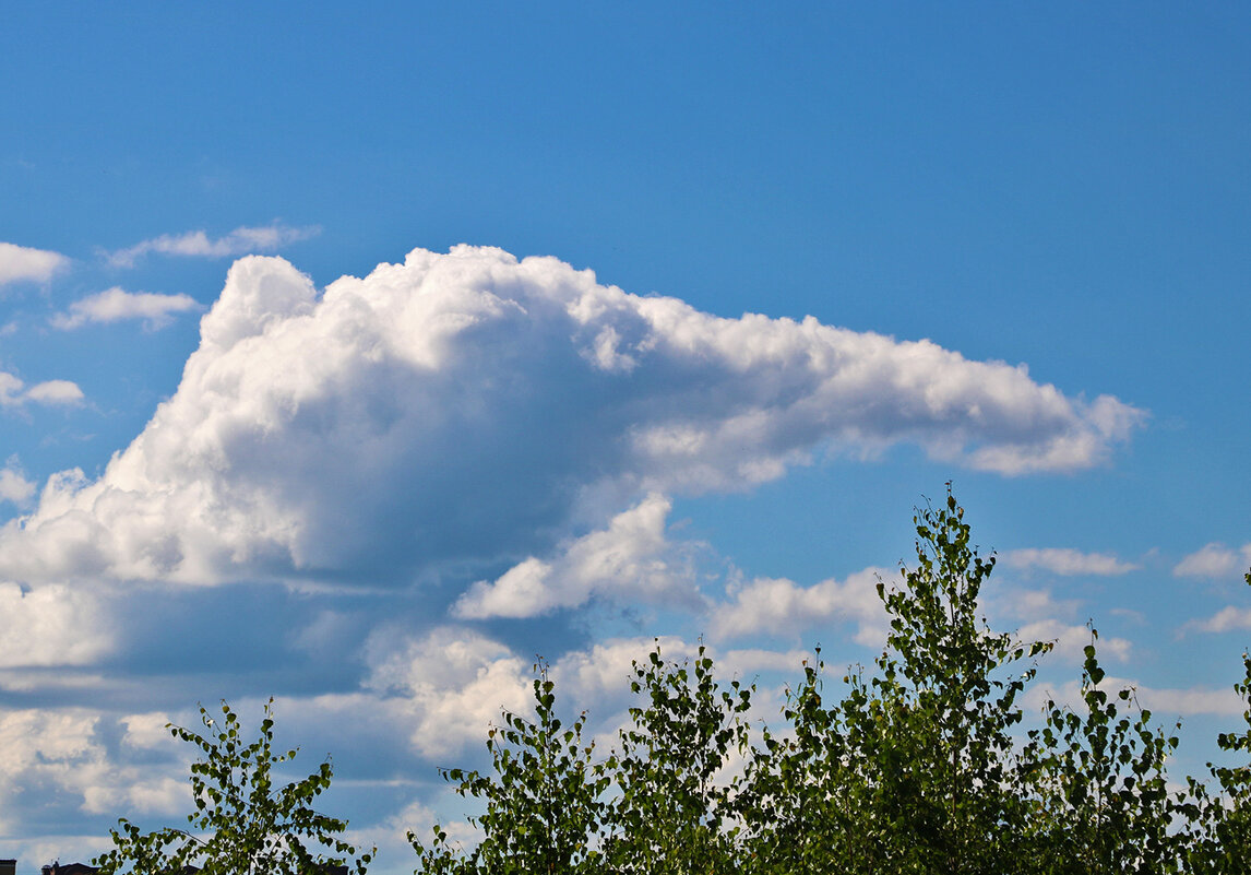 Небесный слоник - Светлана Небесный слоник - Светлана