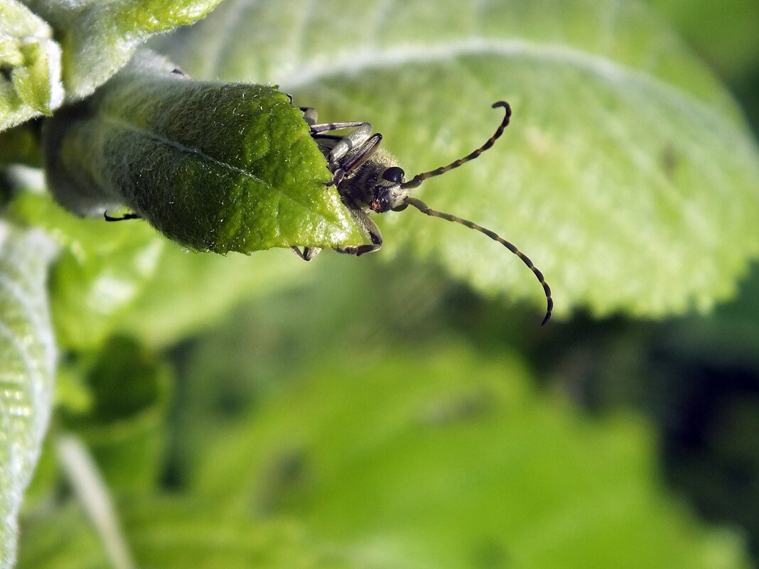 ** - Зоя Мишина