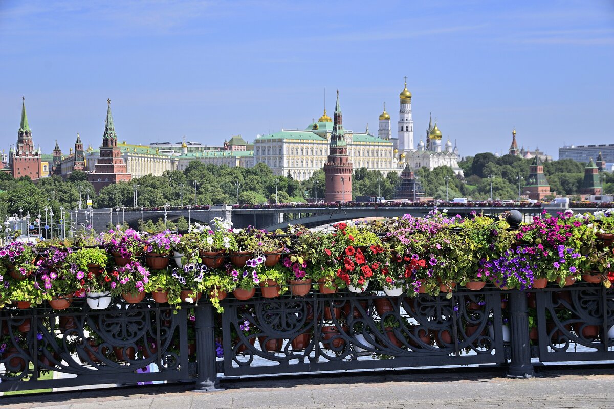 - - Владимир Мигонькин