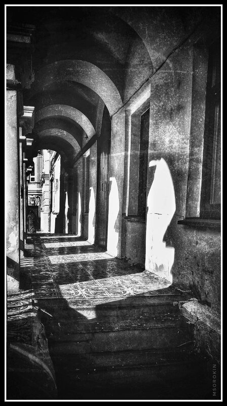 Свет и тень - Максим Сорокин