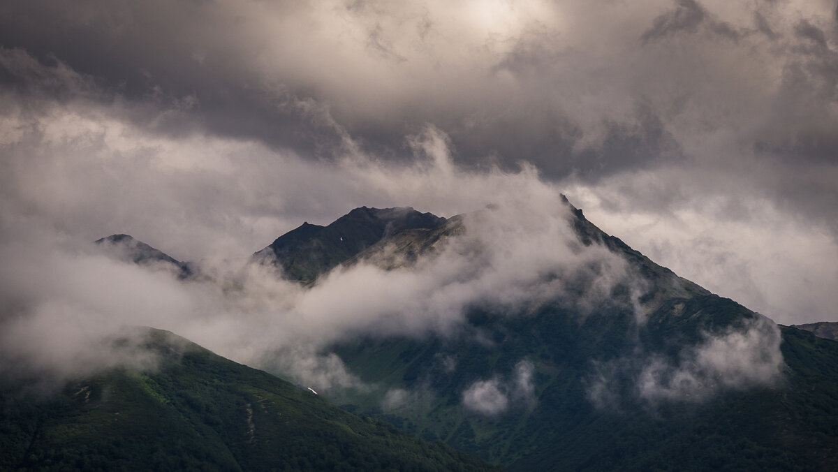 ... - Жора Житников