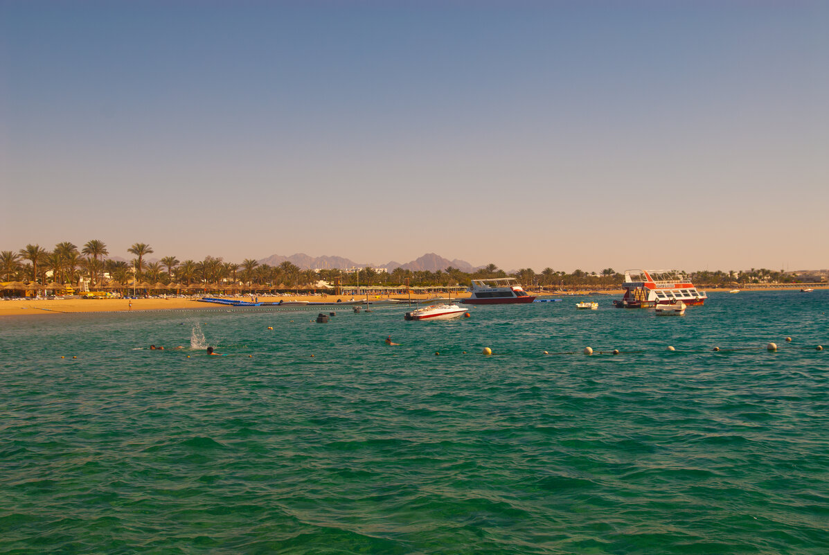 Египет - Андрей 