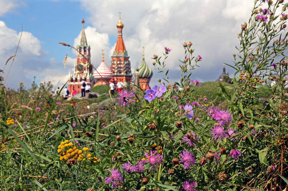 Зарядье 6 августа - Михаил Бибичков