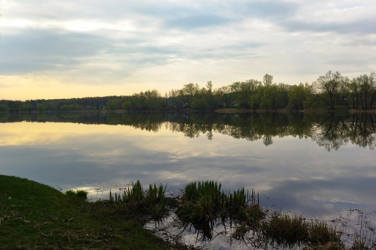 Ранним утром - Марина Виноградова