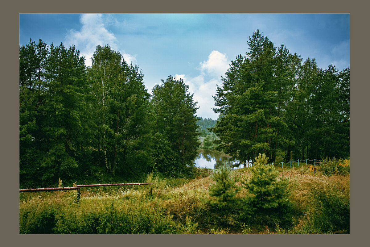 За городом - Вячеслав Владимирович