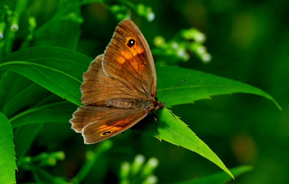из снятого 1 августа 29 - Александр Прокудин из снятого 1 августа 29 - Александр Прокудин