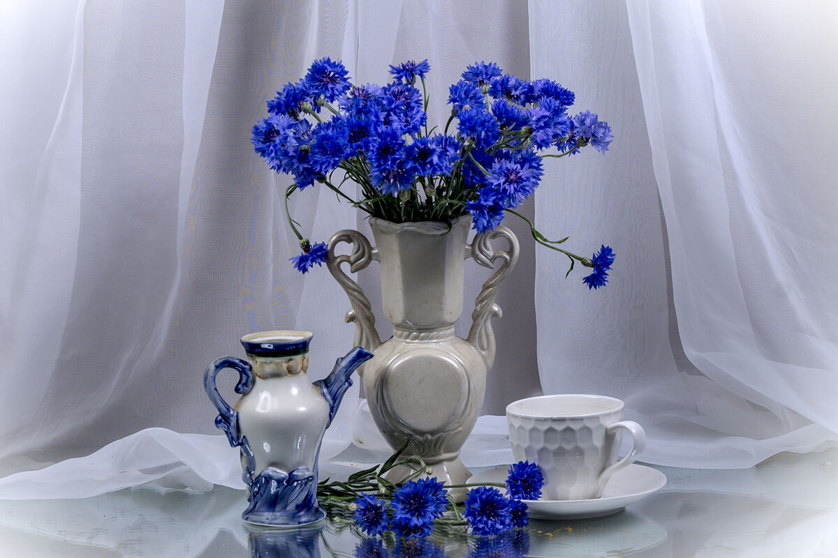 Васильки - Людмила Павловна Крышковец