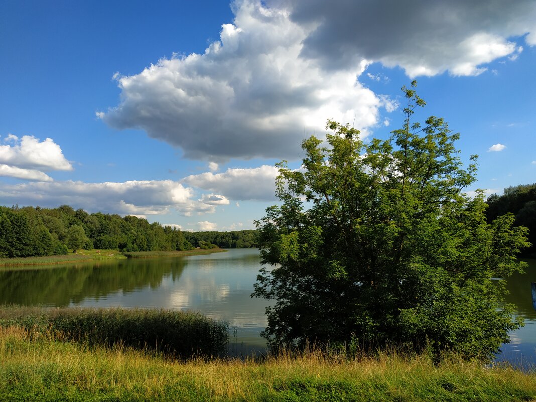 Август в Измайловском парке - Андрей Лукьянов