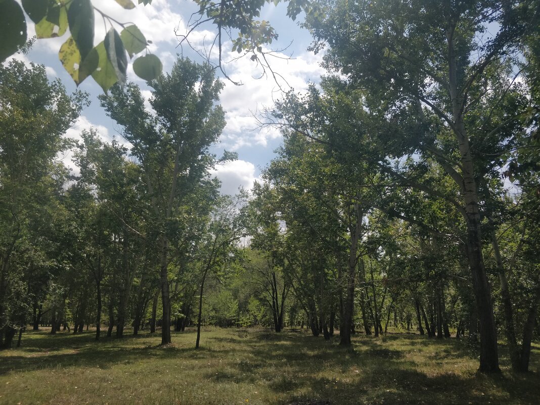 Хороший день - Андрей Хлопонин