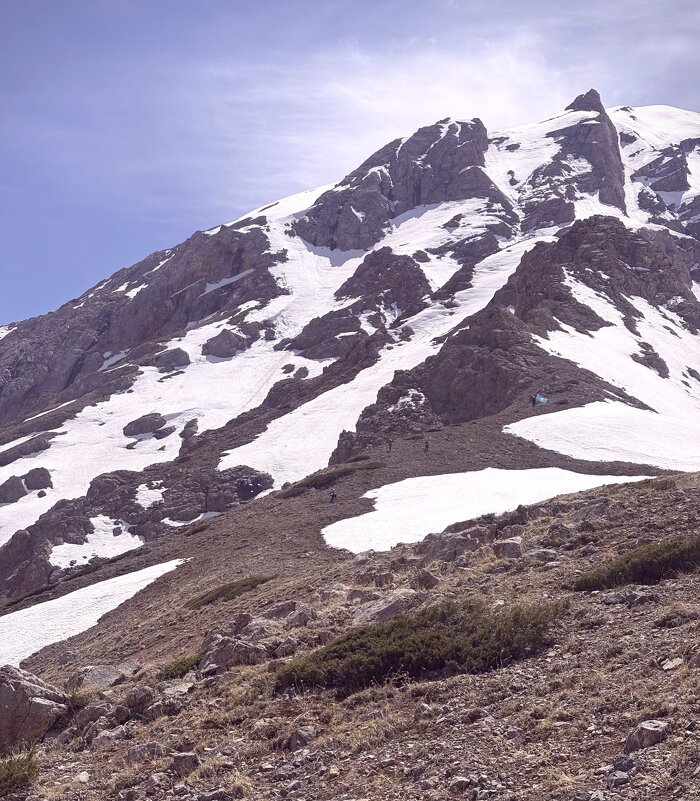 Снега Тянь Шаня - Георгиевич 