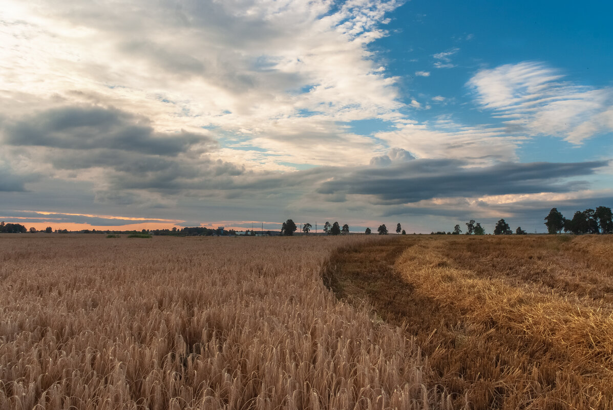 ... - василий 