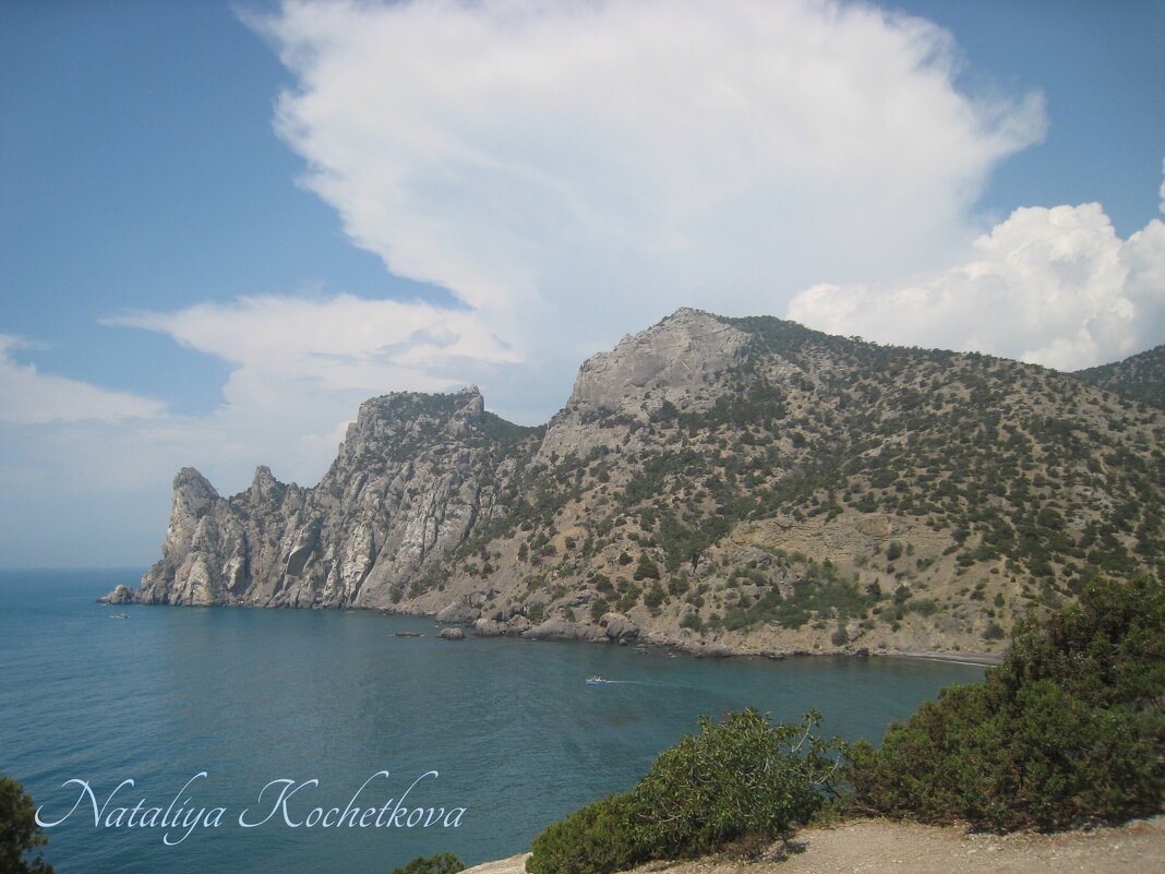 Природа Крыма - Amazing Cosmea Природа Крыма - Amazing Cosmea