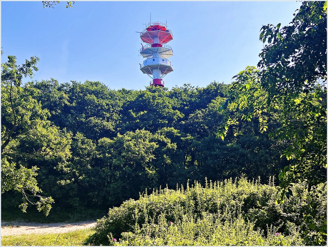 Природа Заостровья. - Валерия Комова