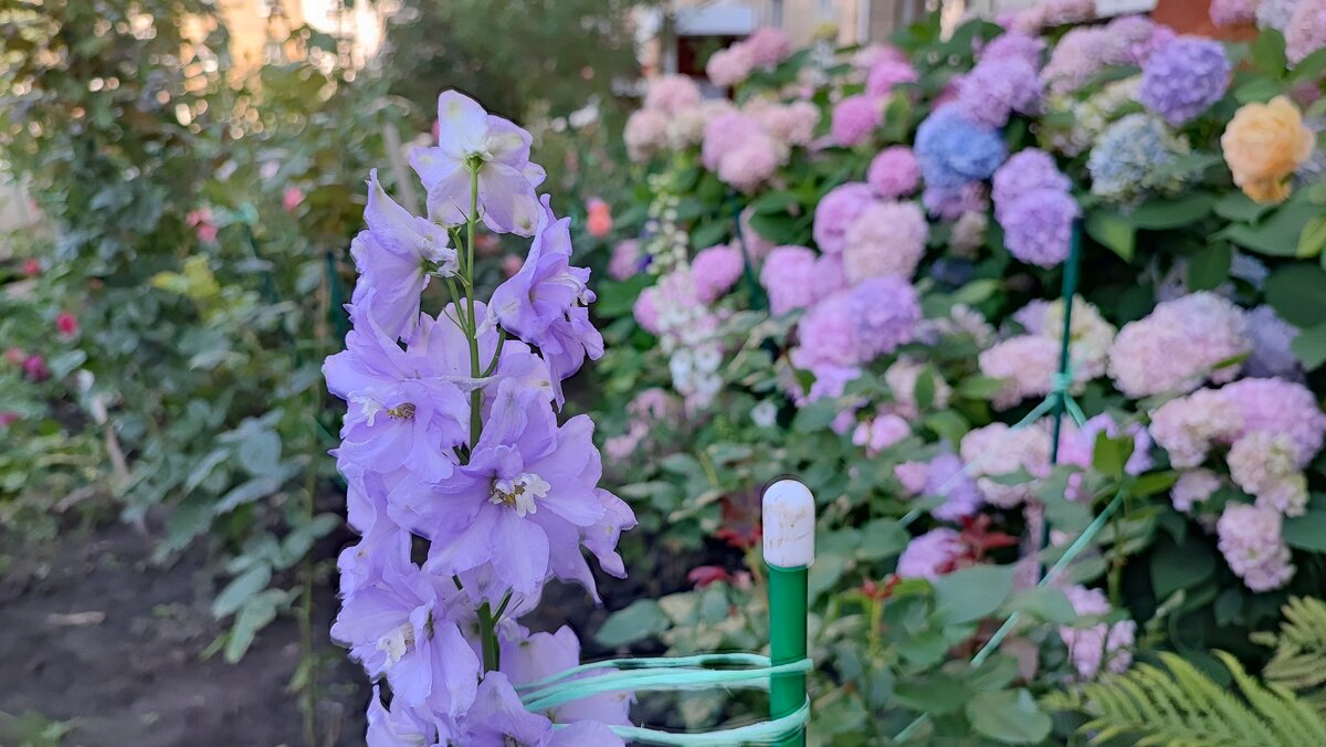 ,,, - Сергей Тимоновский