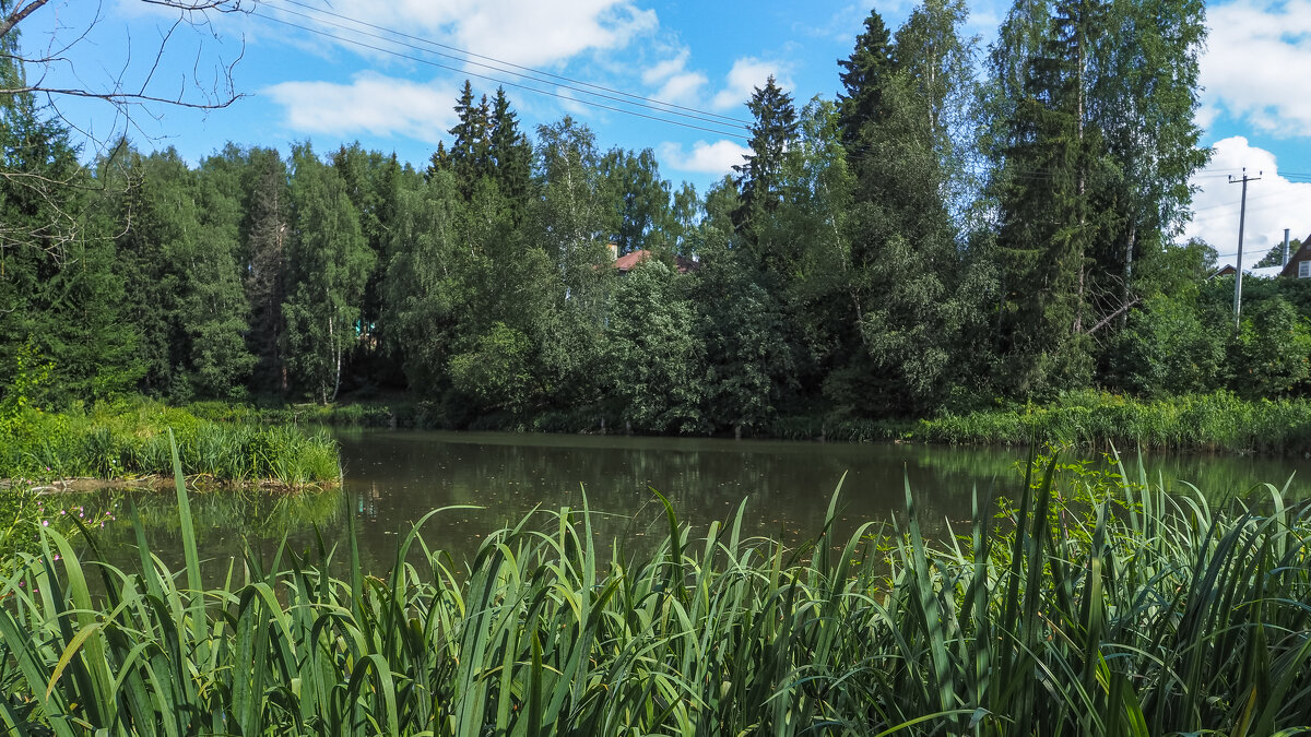 Подмосковные Пейзажи - юрий поляков Подмосковные Пейзажи - юрий поляков