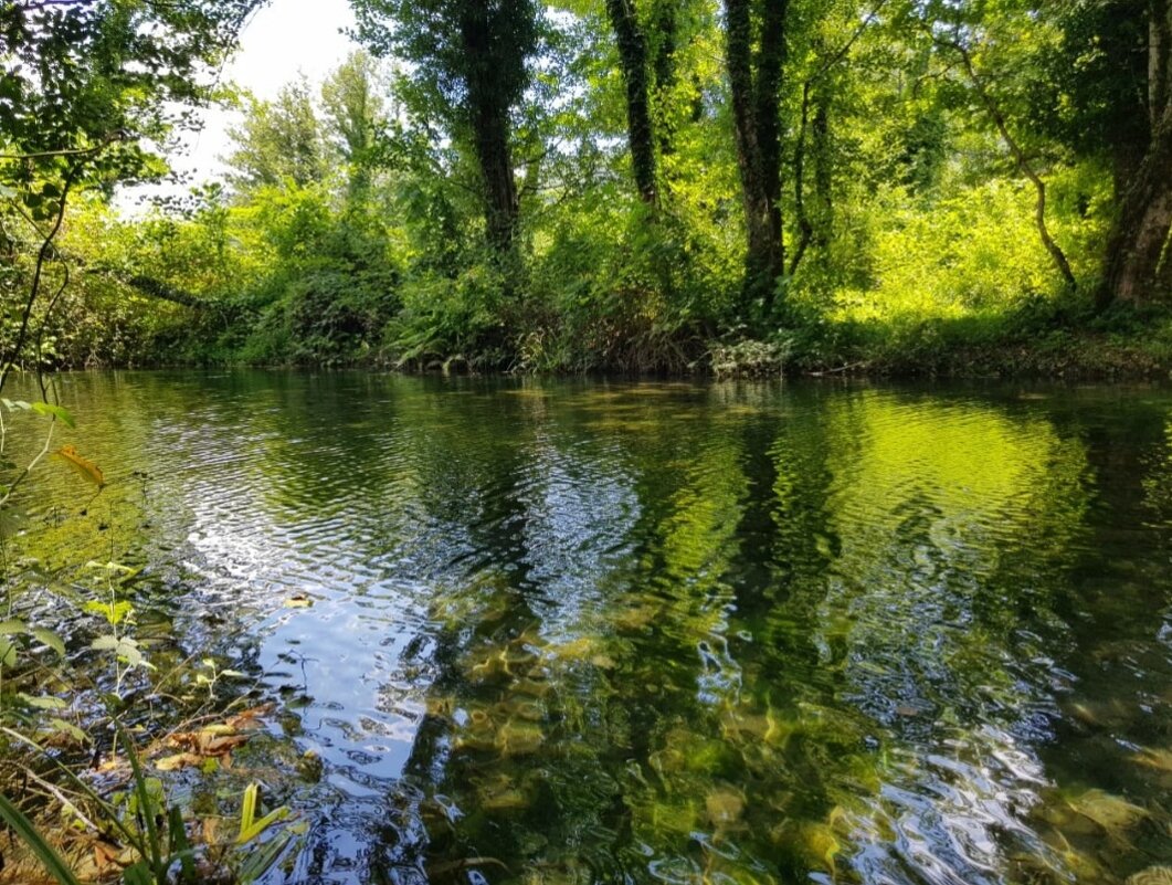 РЕЧКА - Tata Wolf