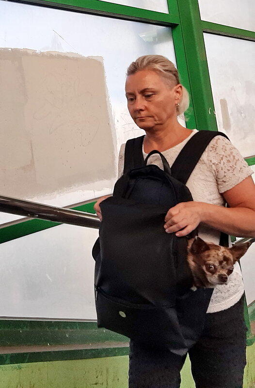 *** - Владимир Захаров *** - Владимир Захаров