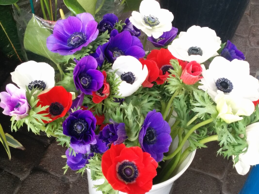 " - Светлана Хращевская " - Светлана Хращевская