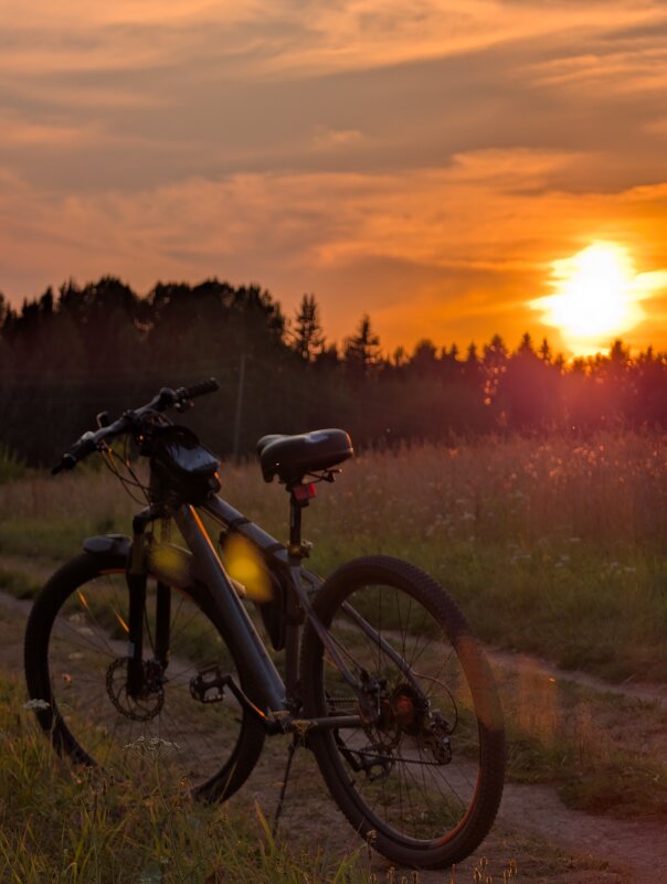 Закат августа - Анастасия Логинова