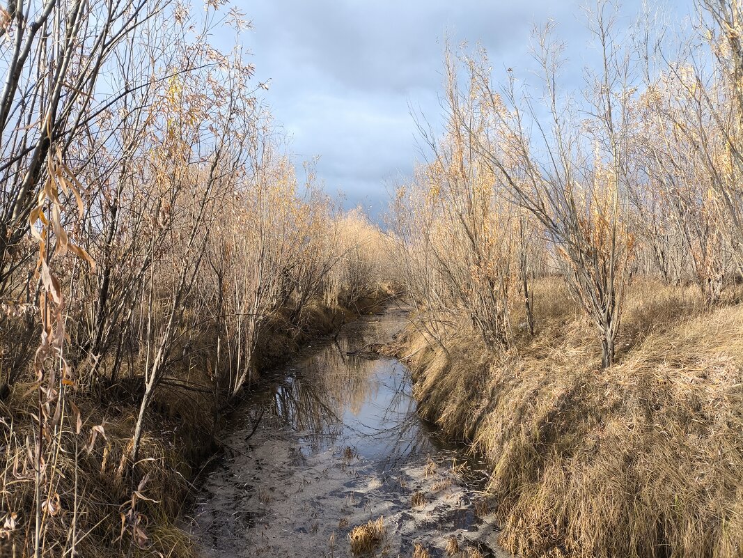 Осень - Anna Ivanova Осень - Anna Ivanova