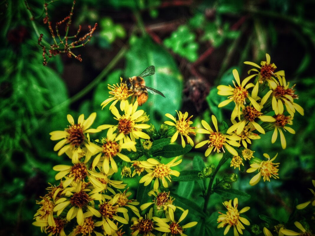 **** - Алексей Архипов