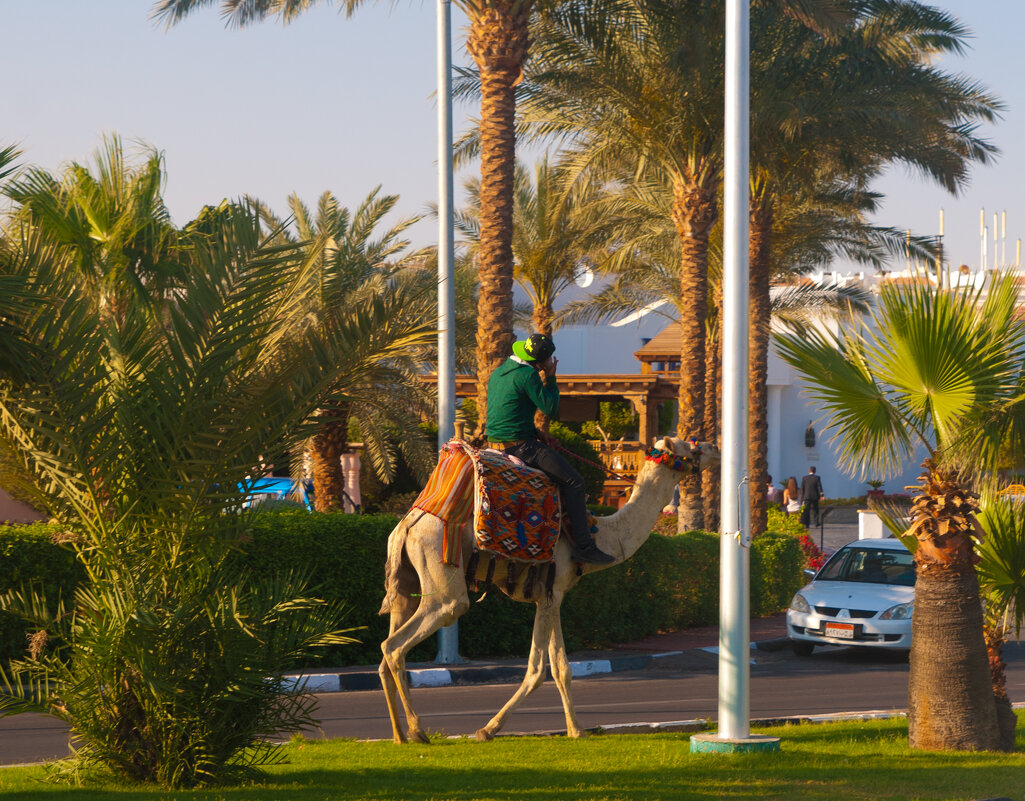 Египет - Андрей 