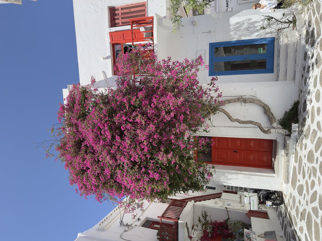 Miconos - Vasile Melnic