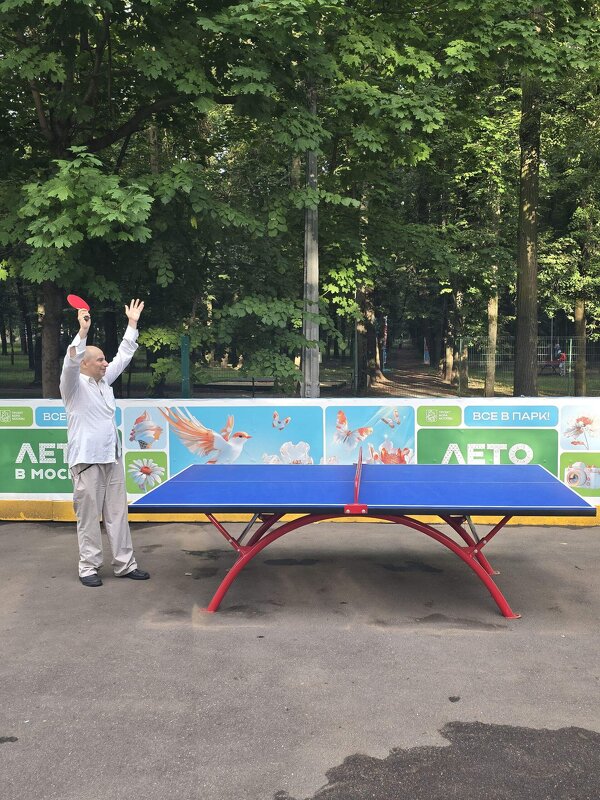 Пинг-понг - Дмитрий Никитин