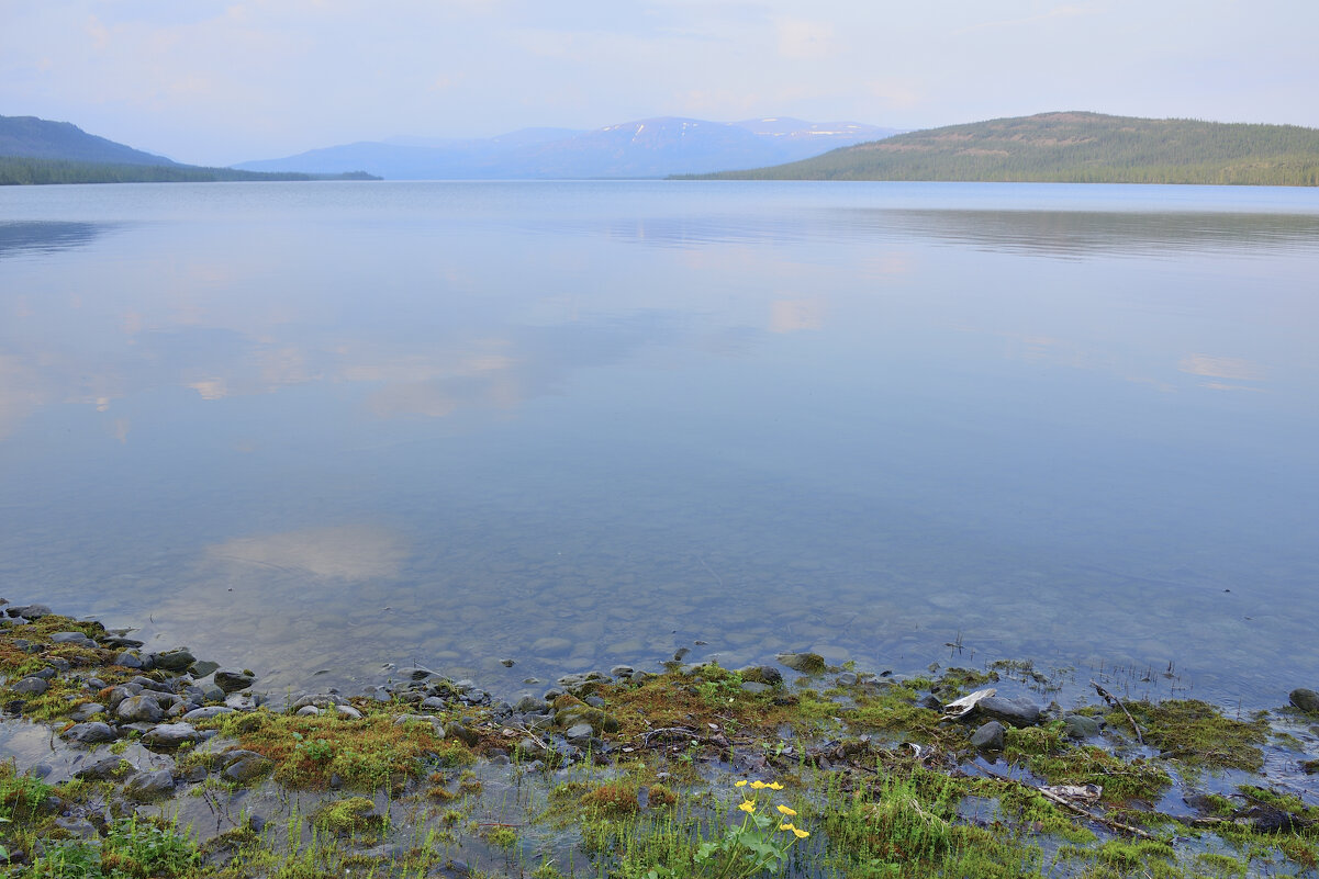 *** - Александр Хаецкий