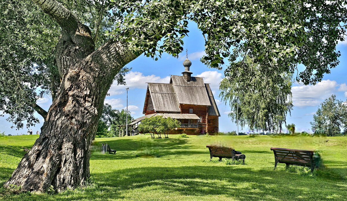 Суздаль - Михаил Свиденцов