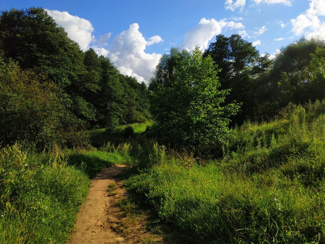Мой путь светел :-) - Андрей Лукьянов Мой путь светел :-) - Андрей Лукьянов