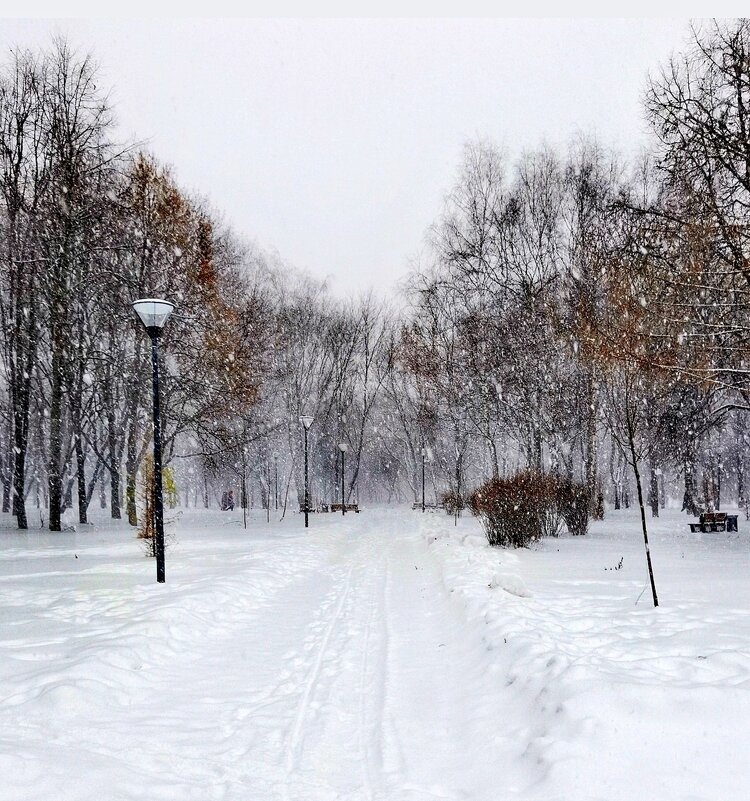 Зима... - Любимова Ольга Зима... - Любимова Ольга