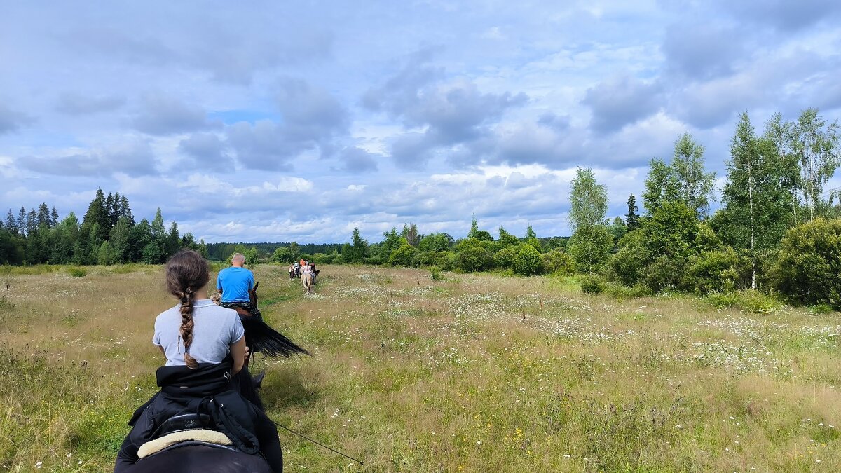 Летний день в полях. - Ольга Летний день в полях. - Ольга