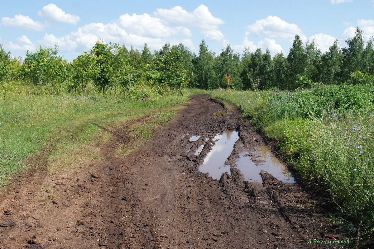 В поисках грибных мест после дождей... - Андрей Заломленков В поисках грибных мест после дождей... - Андрей Заломленков