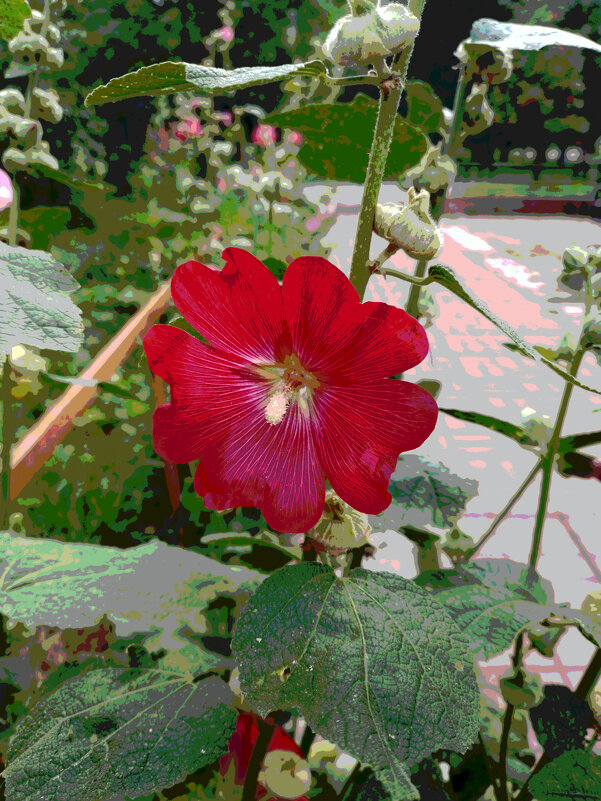 *** - Валентина Береснева